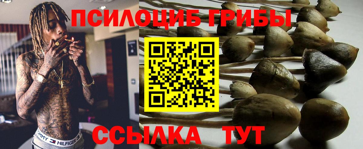 Малгобек  Псилоцибиновые грибы мицелий  Вход с VPN  Псилоцибиновые грибы Magic Shrooms 