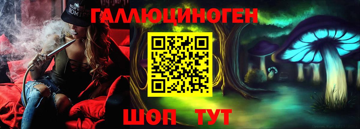 Галлюциногенные грибы Psilocybe Малгобек