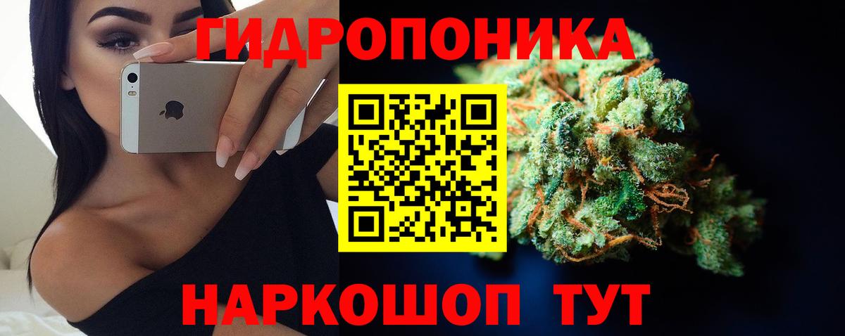 Шишки марихуана ГИДРОПОН  Вход с VPN  Канабис план  Малгобек 